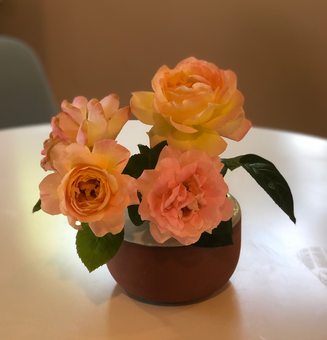 roses.png